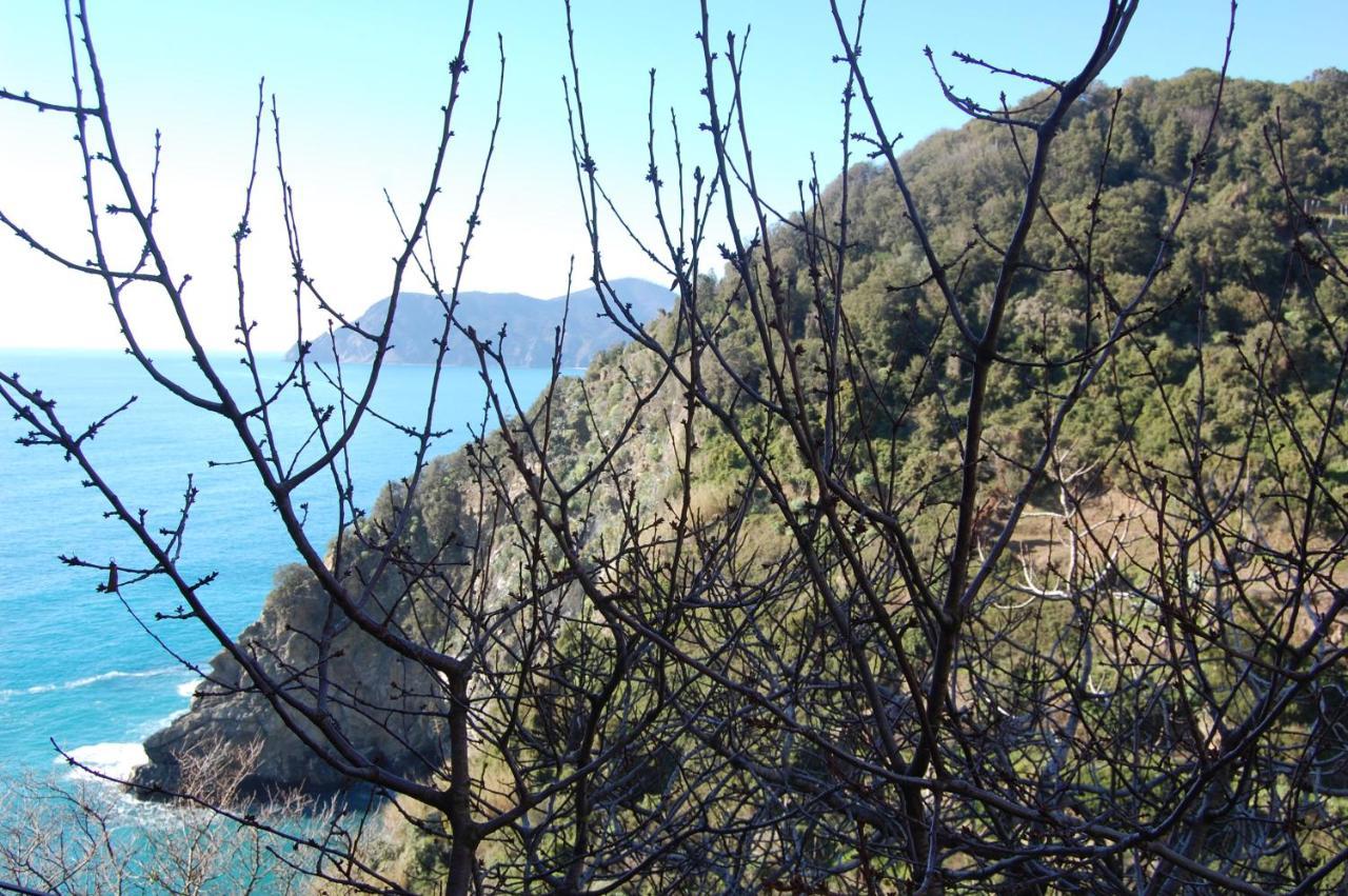 Casa Duke Villa Corniglia Buitenkant foto
